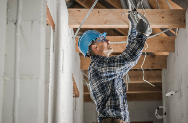 Best Electrical Troubleshooting Services  in Tremont, IL