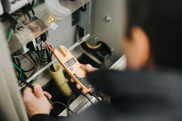 Best Affordable Electrician  in Tremont, IL